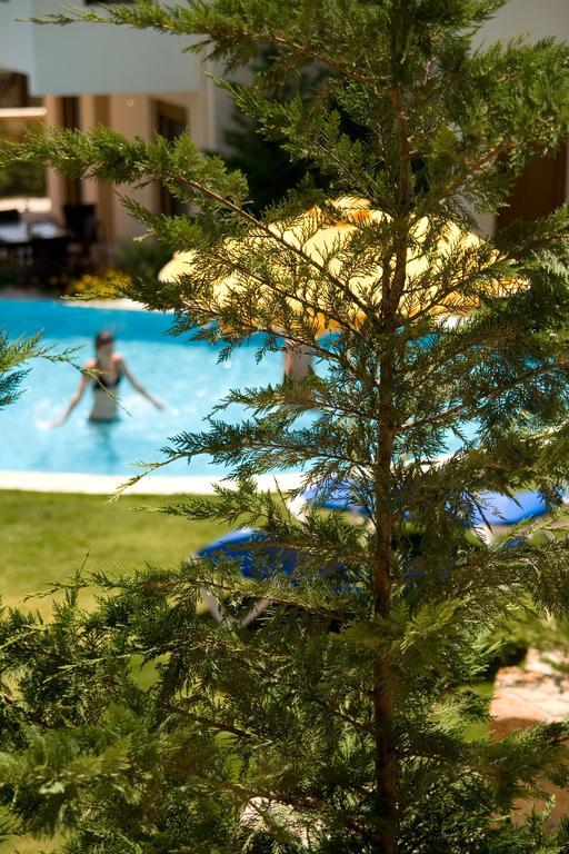 Blue Dream Luxury Villas Pefki Buitenkant foto